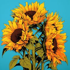 sunflowers are shown against a blue background