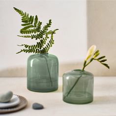 two vases with plants in them sitting on a table next to rocks and plates