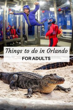 an alligator is laying on the ground and people are standing in front of it with their arms out