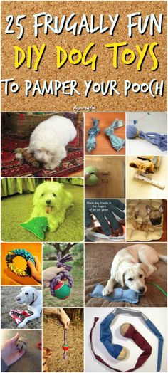 the 25 frugally fun diy dog toys to pamper your pooch