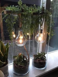 three glass vases filled with plants on top of a window sill