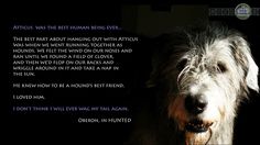 a dog is looking at the camera with an interesting quote on it's side