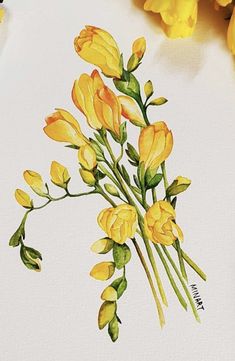 some yellow flowers are sitting on a white surface next to watercolor pencils and markers