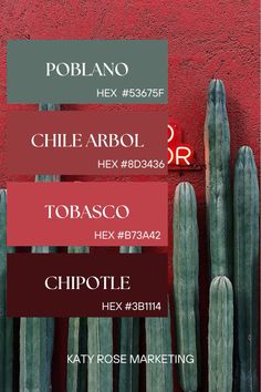 a red wall with several different types of cactuses on it and the words chile arbol, tobasco, chipotle, hex, hex,