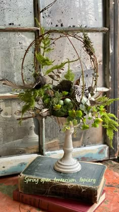 a vase filled with green plants sitting on top of a book next to a window