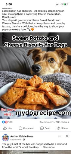 a dog is looking at a plate of food on the twitter feed, which reads sweet potato and cheese biscuits for dogs