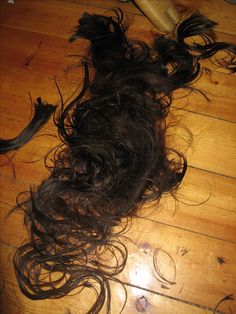 Laurel's hair on the floor Hair On The Floor, Floor Aesthetic, Hair Falling, Haircut Pictures, Hair Reference, Anime Hair, Volume Hair