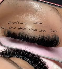 Eyelash Maps, Lashes Map, Wispy Lash Map, Lash Extensions Mapping Styles, Bottom Lash Extensions, Lashes Ideas, Lash Ideas, Lash Maps, Lash Map