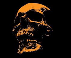 an orange and black image of a skull