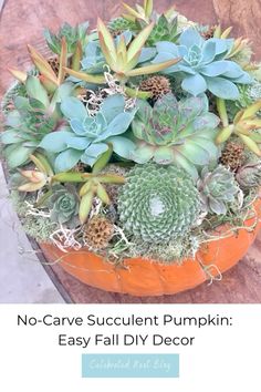 no - carve succulent pumpkin easy fall diy decor with text overlay