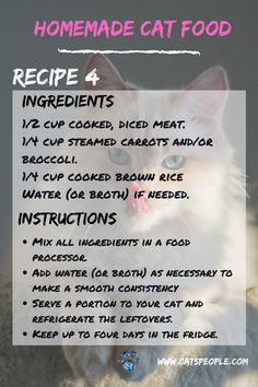 the instructions for how to make homemade cat food