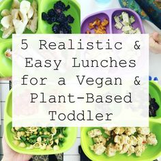 the words 5 realistic and easy lunches for a vegan and plant - based toddler