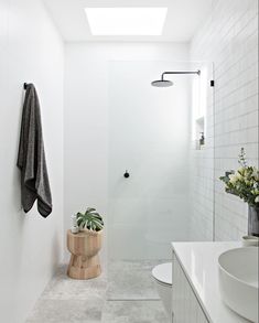 a white bathroom with a skylight above the toilet and shower stall, along with a planter on the counter