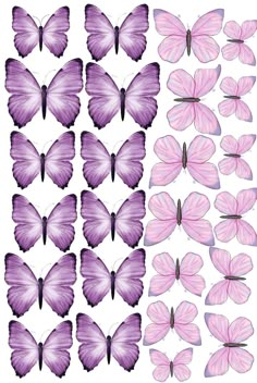 purple butterflies are arranged in rows on a white background