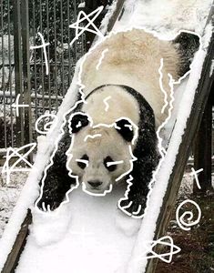 a panda bear standing on top of a snow covered ramp