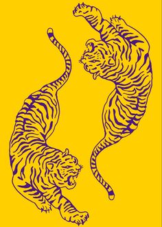 two tigers jumping in the air on a yellow background