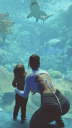 two children looking at sharks in an aquarium with their mother and father standing next to them