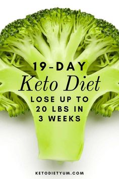 19-Day Keto Diet Plan for Beginners with Easy Recipes Keto Quiche, Ketogenic Diet Menu, Program Diet, Keto Menu, Fat Burning Diet, Low Carb Meal Plan, Resep Diet, Low Carb Diets, Keto Pancakes