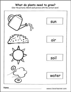 a worksheet with words and pictures on it