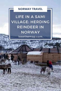 people riding horses in the snow with text overlay reading norway travel life in a sami village herding reindeer in norway