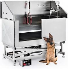 a dog is sitting in front of an oven