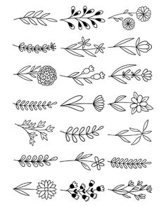 the different types of flowers and leaves drawn by hand