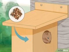 a box with nuts in it next to a plate on top of the birdhouse