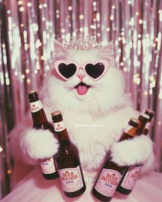 💸💃 .  .  . .  .  .  .  .  .  .  .  .  .  .  .  .   (AI, cats, cute cats, white cat, black cat, sassy, funny cats, funny, polaroid photography, disco, party, cat art, meme, pastel pink, chill, cat meme), Tumblr aesthetic, Pinterest aesthetic, glittee, sparkles) Monthly Playlist Covers, Cat Sassy, Monthly Playlist, Cats White, Party Cat, Polaroid Photography, Sassy Cat