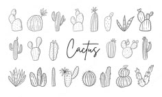 cactus hand drawn in black and white with the word cactus on it's side