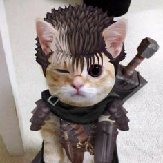 a cat dressed up as a warrior with spiked hair