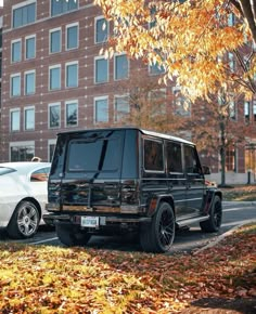 two cars parked in front of a building on a street with autumn leaves around them