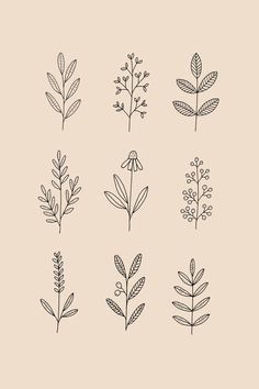 Hand drawn botanical line art illustration Ryn Frank, Abstract Tattoo Ideas, Abstract Tattoos, Flower Line Drawings, Illustrated Art