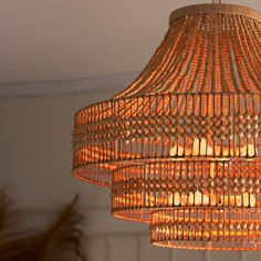 a chandelier hanging from the ceiling in a room with a potted plant