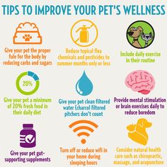 the top tips to improve your pet's health