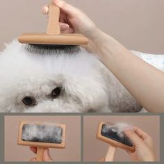 the dog is grooming its fur with a brush