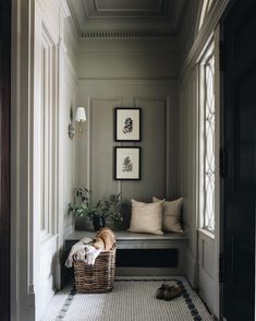 a dog laying on the floor in front of a window with two framed pictures above it