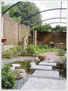 Looking for the perfect outdoor cat enclosure? Look no further than Nice enclosures! Our cat enclosures are built to last, and come in a variety of styles to fit any backyard. Outdoor Pet Enclosure, Cat Playground Outdoor, Ideas For House, Garden Fence Ideas