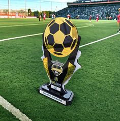 a soccer ball sitting on top of a trophy