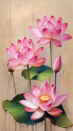 three pink water lilies with green leaves