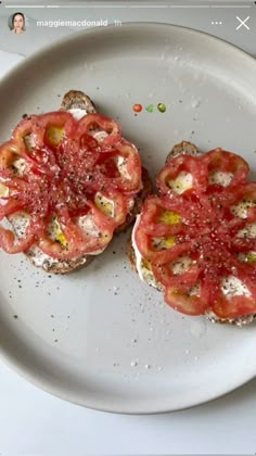 two pieces of bread with tomatoes on them