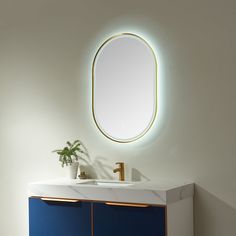 a bathroom vanity with a round mirror above it and a plant on the counter top