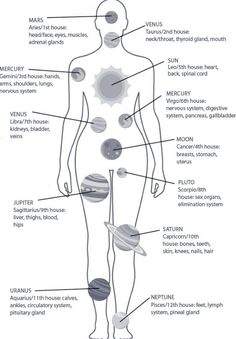 Astrology Body Chart, Astrology Calendar 2023, Chariklo Astrology, Astrology Chart Learning, Birth Chart Meanings, Astrologer Aesthetic, Astrology Beginners