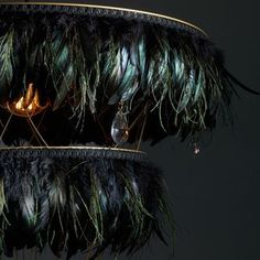 two chandeliers with black feathers hanging from the ceiling in front of a dark background