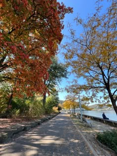 the road is lined with colorful trees and leaves on both sides, along with a lake in the background