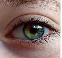 an eye with blue and yellow iris looking at the camera, close up photo taken from below