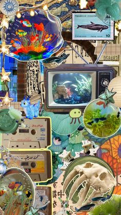 a collage of various items including an old tv, fish and seaweeds