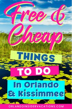 the words free and cheap things to do in orlando and kissimmee