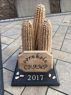 corn on the cob is displayed for everyone to see