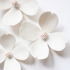 three white flowers are placed next to each other