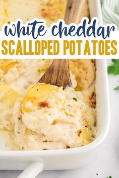 white cheddar scalloped potatoes in a casserole dish